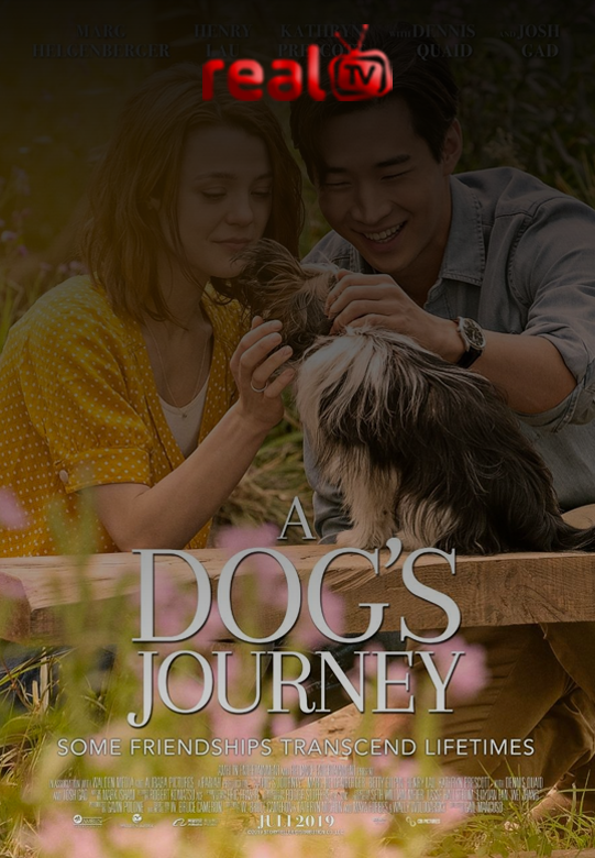 A Dogs Journey